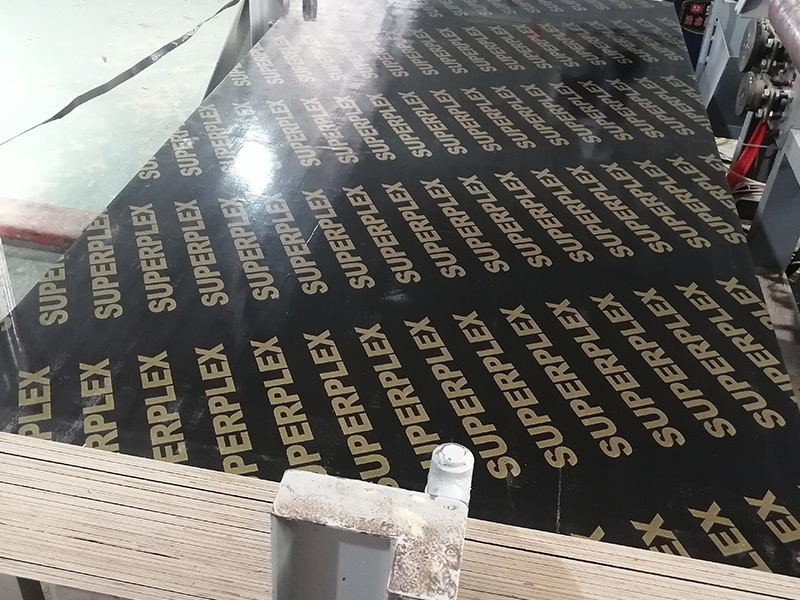 1647670230123731.jpg b (8).jpg