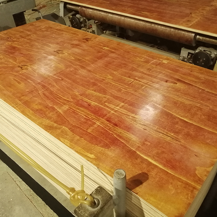 1657519996212873.jpg 57.jpg